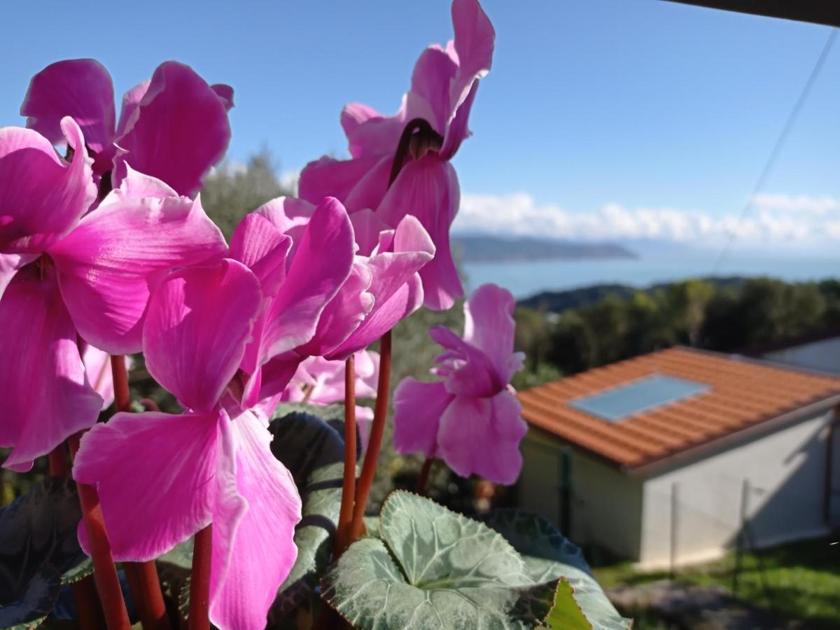 Le Vigne Di Lenf Porto Venere Exterior foto